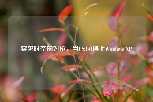 穿越时空的对枪,当CS:GO遇上Windows XP