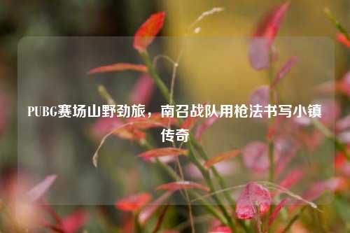 PUBG赛场山野劲旅,南召战队用枪法书写小镇传奇