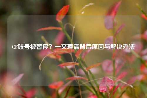 CF账号被暂停?一文理清背后原因与解决办法