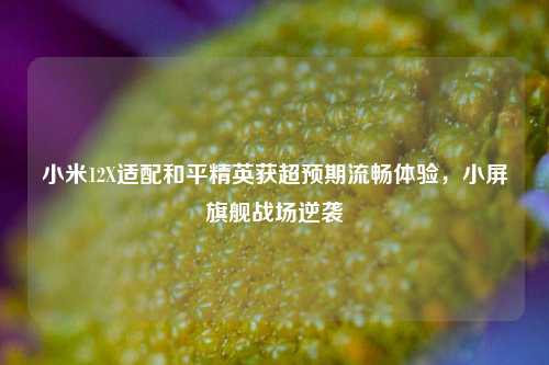 小米12X适配和平精英获超预期流畅体验,小屏旗舰战场逆袭