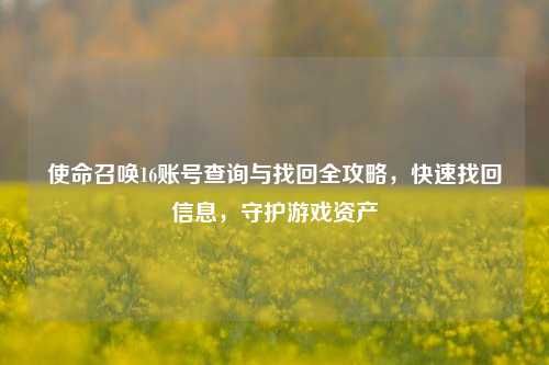 使命召唤16账号查询与找回全攻略,快速找回信息,守护游戏资产