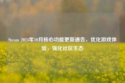 Steam 2024年10月核心功能更新通告,优化游戏体验,强化社区生态