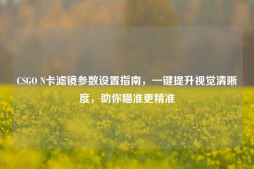 CSGO N卡滤镜参数设置指南,一键提升视觉清晰度,助你瞄准更精准