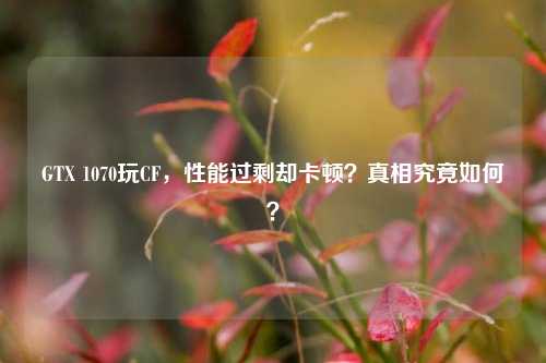 GTX 1070玩CF,性能过剩却卡顿?真相究竟如何?