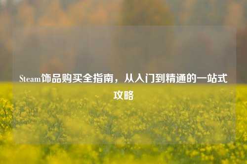 Steam饰品购买全指南,从入门到精通的一站式攻略