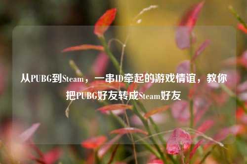 从PUBG到Steam,一串ID牵起的游戏情谊,教你把PUBG好友转成Steam好友