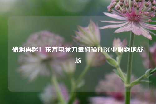 硝烟再起!东方电竞力量碰撞PUBG亚服绝地战场