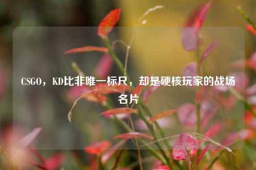 CSGO,KD比非唯一标尺,却是硬核玩家的战场名片