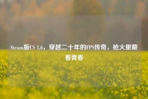 Steam版CS 1.6,穿越二十年的FPS传奇,枪火里藏着青春