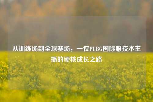 从训练场到全球赛场,一位PUBG国际服技术主播的硬核成长之路