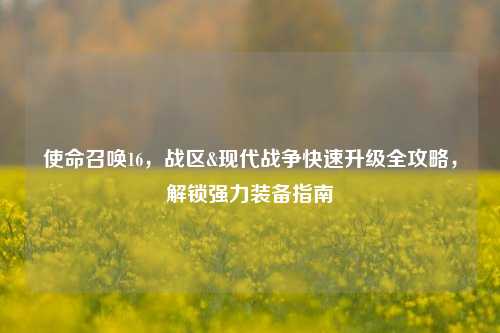 使命召唤16,战区&现代战争快速升级全攻略,解锁强力装备指南