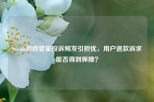 Steam游戏管家投诉频发引担忧,用户退款诉求能否得到保障?