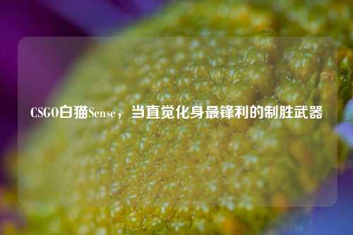 CSGO白猫Sense,当直觉化身最锋利的制胜武器