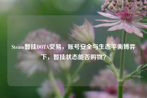 Steam暂挂DOTA交易,账号安全与生态平衡博弈下,暂挂状态能否购物?
