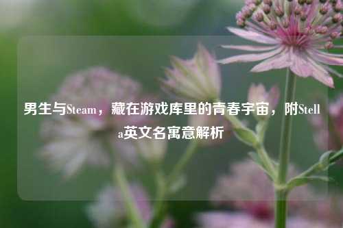 男生与Steam,藏在游戏库里的青春宇宙,附Stella英文名寓意解析