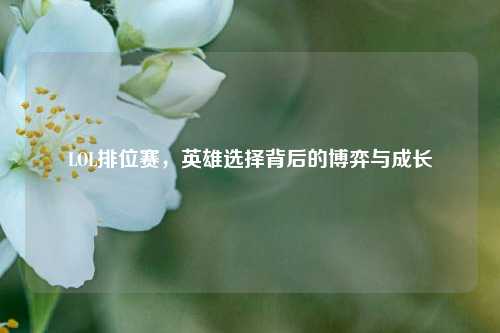LOL排位赛,英雄选择背后的博弈与成长