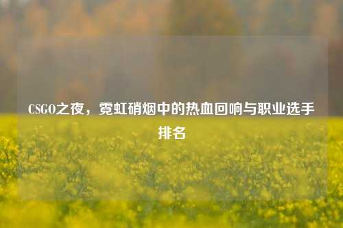 CSGO之夜,霓虹硝烟中的热血回响与职业选手排名
