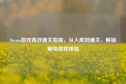 Steam游戏高效通关指南,从入库到通关,解锁畅快游戏体验