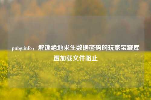 pubg.info,解锁绝地求生数据密码的玩家宝藏库遭加载文件阻止