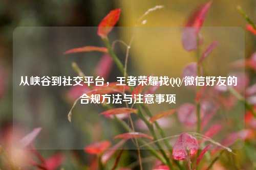 从峡谷到社交平台,王者荣耀找 /微信好友的合规 与注意事项