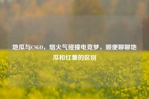 地瓜与CSGO,烟火气碰撞电竞梦,顺便聊聊地瓜和红薯的区别