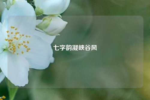 七字韵凝峡谷风