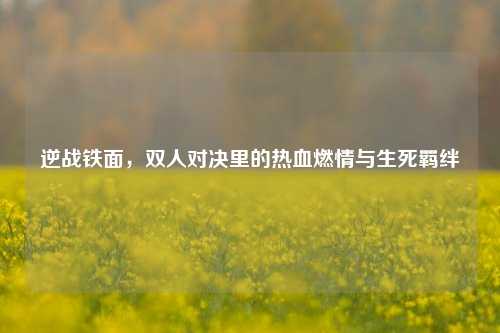 逆战铁面,双人对决里的热血燃情与生死羁绊