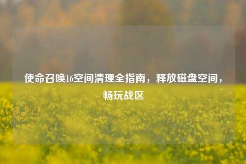 使命召唤16空间清理全指南,释放磁盘空间,畅玩战区