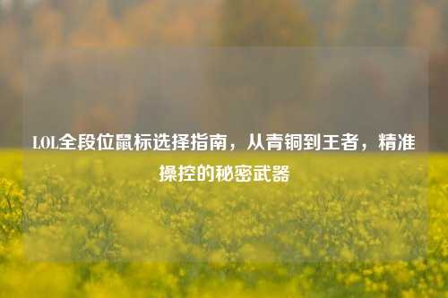 LOL全段位鼠标选择指南,从青铜到王者,精准操控的秘密武器