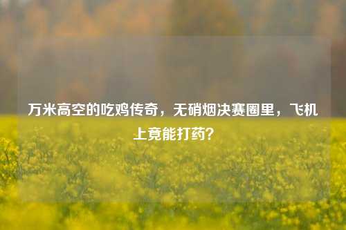 万米高空的吃鸡传奇,无硝烟决赛圈里,飞机上竟能打药?