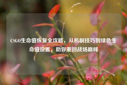 CSGO生命值恢复全攻略,从机制技巧到绿色生命值设置,助你重回战场巅峰