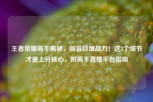 王者荣耀高手揭秘,别盲目堆战力!这3个细节才是上分核心,附高手直播平台指南