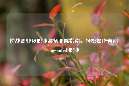 逆战职业及职业装备删除指南，轻松操作告别 unwanted 职业