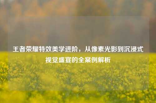 王者荣耀特效美学进阶,从像素光影到沉浸式视觉盛宴的全案例解析