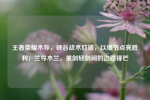 王者荣耀木导,峡谷战术灯塔,以细节点亮胜利;兰导木兰,重剑轻剑间的边路锋芒