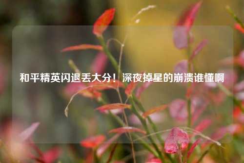 和平精英闪退丢大分!深夜掉星的崩溃谁懂啊