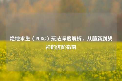 绝地求生(PUBG)玩法深度解析,从萌新到战神的进阶指南