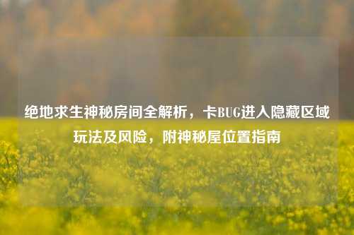 绝地求生神秘房间全解析,卡BUG进入隐藏区域玩法及风险,附神秘屋位置指南
