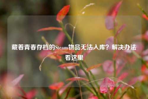 藏着青春存档的Steam物品无法入库?解决办法看这里