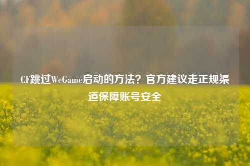 CF跳过WeGame启动的 ?官方建议走正规渠道保障账号安全
