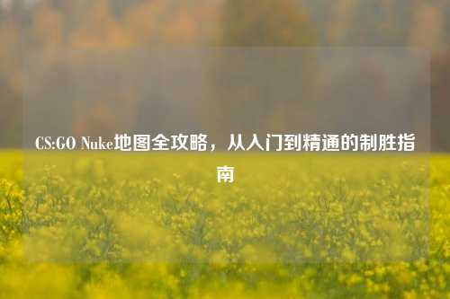 CS:GO Nuke地图全攻略,从入门到精通的制胜指南