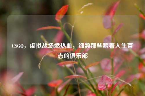 CSGO,虚拟战场燃热血,细数那些藏着人生百态的俱乐部