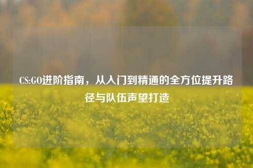 CS:GO进阶指南,从入门到精通的全方位提升路径与队伍声望打造