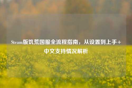 Steam版饥荒国服全流程指南,从设置到上手+中文支持情况解析