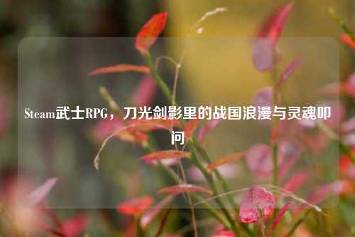 Steam武士RPG,刀光剑影里的战国浪漫与灵魂叩问