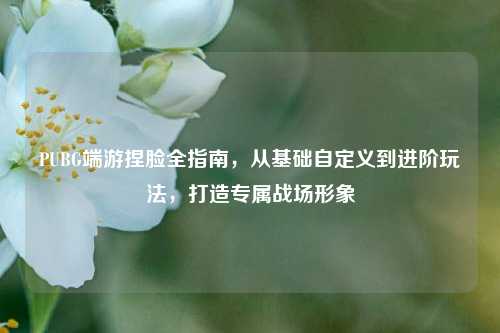 PUBG端游捏脸全指南,从基础自定义到进阶玩法,打造专属战场形象