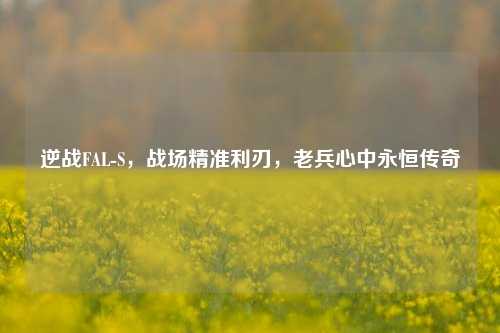 逆战FAL-S,战场精准利刃,老兵心中永恒传奇