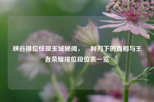 峡谷排位惊现玉城秘闻,暃利刃下的真相与王者荣耀排位段位表一览