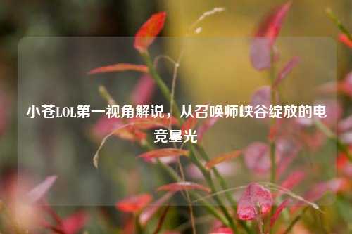 小苍LOL之一视角解说,从召唤师峡谷绽放的电竞星光