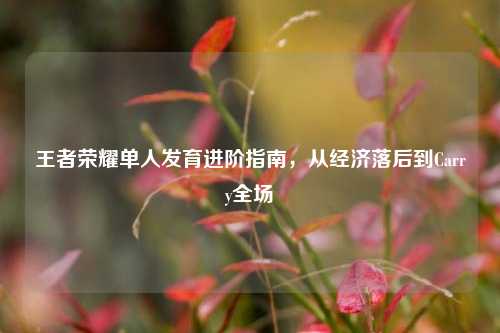 王者荣耀单人发育进阶指南,从经济落后到Carry全场